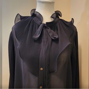 Zara Pleated Sheer Blouse Sz. xl